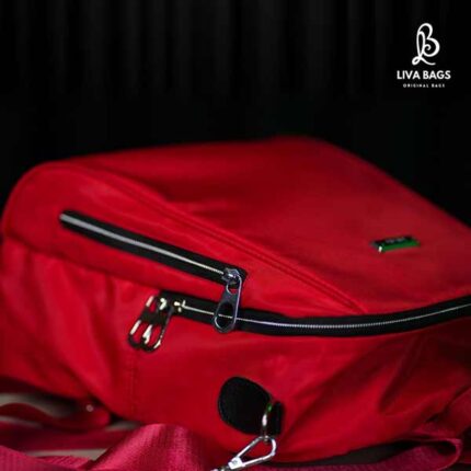 ladies bagpack and side bag